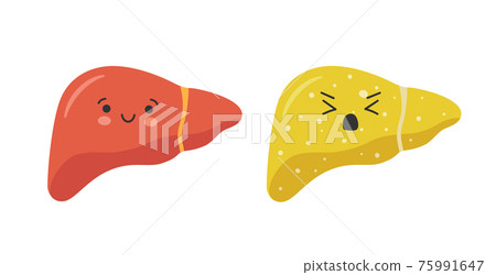 Healthy happy smiling cute liver character and sad sick unhealthy liver. Isolated vector illustration 75991647