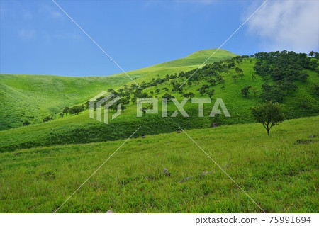 由布山腳下的草地和飯盛城 由布山腳下的草地和飯盛城 75991694