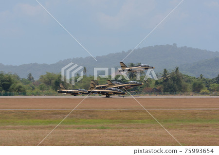 阿拉伯聯合酋長國空軍雜技團“Al Fulsan”編隊起飛 75993654