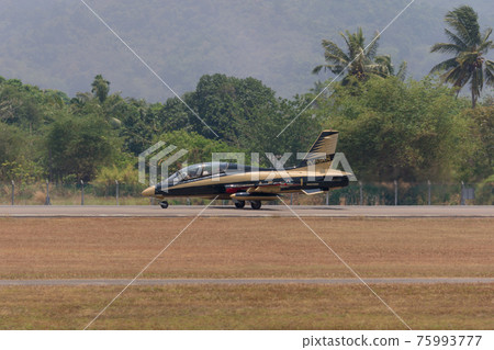 United Arab Emirates Air Force Acrobat Team "Al Fulsan" Landing 75993777