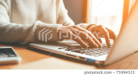 Young woman working in home on her laptop computer. 75994315