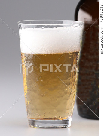啤酒 啤酒 75995288