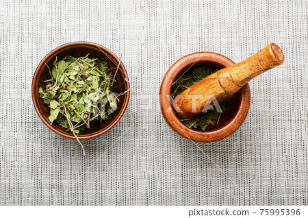 Orthilia in herbal medicine 75995396