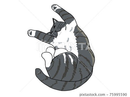 放鬆睡貓 放鬆睡貓 75995590