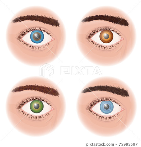 close-up human eye on a white background close-up human eye on a white background 75995597