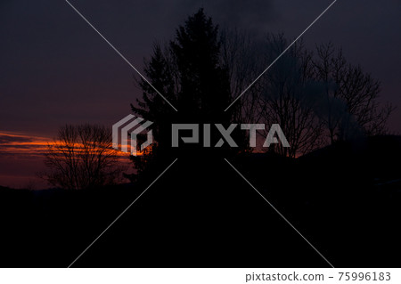 sunset at countryside. silhouettes of trees and smoke from house chimney sunset at countryside. silhouettes of trees and smoke from house chimney 75996183