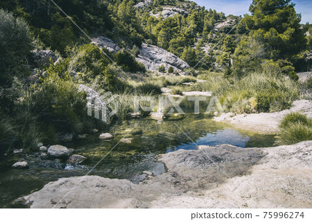 calm stream with many stones on the path calm stream with many stones on the path 75996274