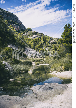 calm stream with many stones on the path calm stream with many stones on the path 75996291