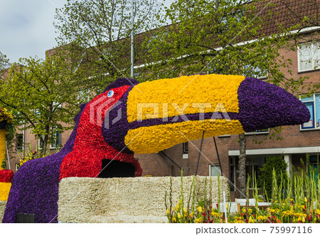 Statue made of tulips on flowers parade in Haarlem Netherlands 75997116