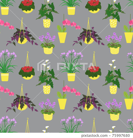 Seamless pattern with potted tropical house plants in colorful flower pots. On a gray background Seamless pattern with potted tropical house plants in colorful flower pots. On a gray background 75997680