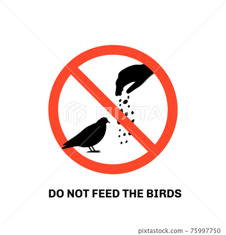 Prohibition sign with text do not feed the birds and hand silhouette giving food to pigeon Prohibition sign with text do not feed the birds and hand silhouette giving food to pigeon 75997750