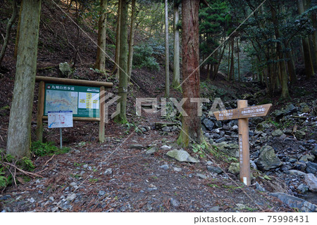 甲書山登山“甲書林道盡頭的山口” 甲書山登山“甲書林道盡頭的山口” 75998431