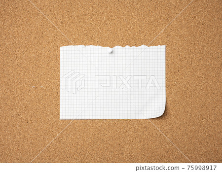 blank sheet of paper pinned by button on brown cork board blank sheet of paper pinned by button on brown cork board 75998917