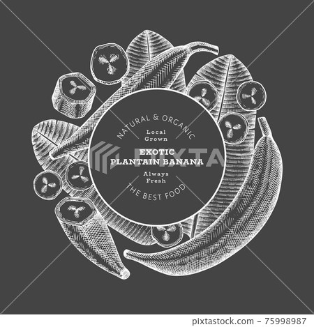 Hand drawn sketch style plantain banner. Organic fresh fruit vector illustration on chalk board. Retro exotic banana fruit design template 75998987