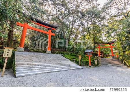 Spring Usa Jingu, Usa City, Oita Prefecture 75999853