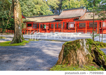 Spring Usa Shrine Shimomiya, Usa City, Oita Prefecture Spring Usa Shrine Shimomiya, Usa City, Oita Prefecture 75999860