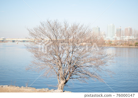 東京都北區水閘公園 / Shimo 對面 東京都北區水閘公園 / Shimo 對面 76000147