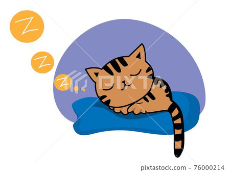 Black brown striped fat cat Sleep soundly on a blue mattress. Vector isolated design for social network online communication Black brown striped fat cat Sleep soundly on a blue mattress. Vector isolated design for social network online communication 76000214