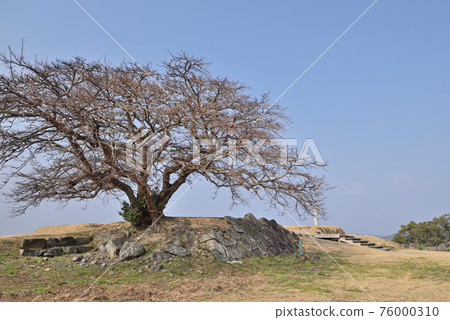 Nagoya Castle Ruins "Tenshudai" 76000310