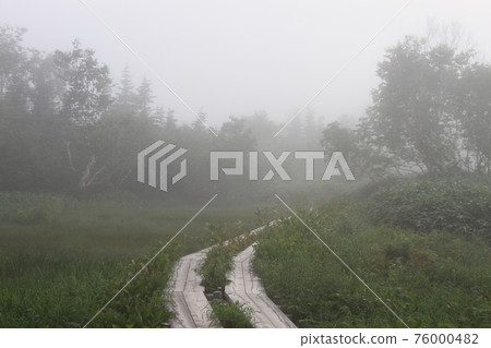 Rainy promenade 76000482