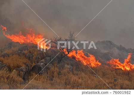 平尾台露天焚燒（下午） 76001982