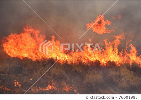 平尾台露天焚燒（下午） 76001983