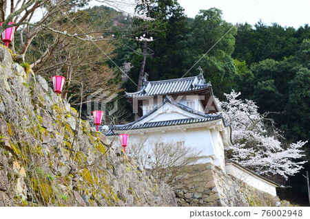 Izushi Castle [Continued Top 100 Japanese Castles] 76002948