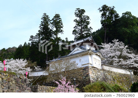 Izushi Castle [Continued Top 100 Japanese Castles] 76002960
