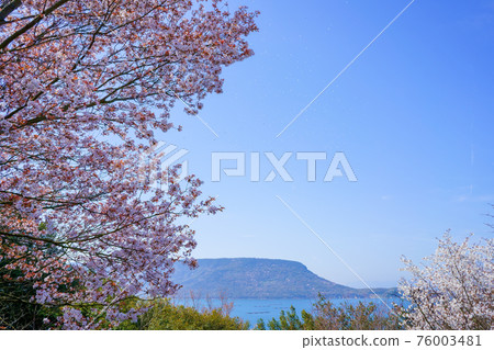 櫻花花瓣舞瀨戶內海八島(香川縣高松市) 櫻花花瓣舞瀨戶內海八島(香川縣高松市) 76003481