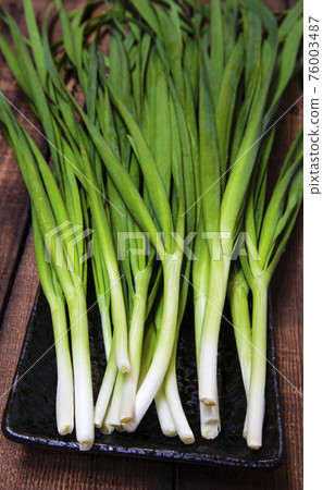 Chinese chives 76003487