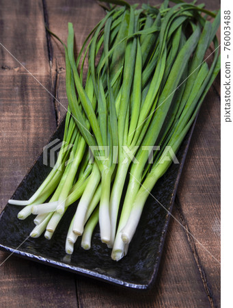 Chinese chives Chinese chives 76003488