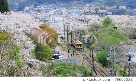 Shizuoka Prefecture Ieyama Sakura and Otetsu Kintetsu Train Spring 76003528