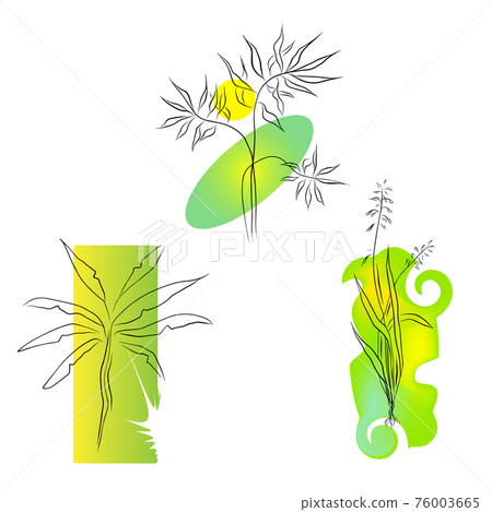 Vector Minimalistic mid-century design with leaves and geometric shapes line art Vector Minimalistic mid-century design with leaves and geometric shapes line art 76003665