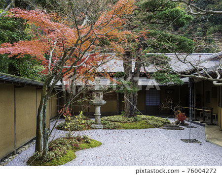 鎌倉市一城驛館山莊庭院的秋葉 鎌倉市一城驛館山莊庭院的秋葉 76004272
