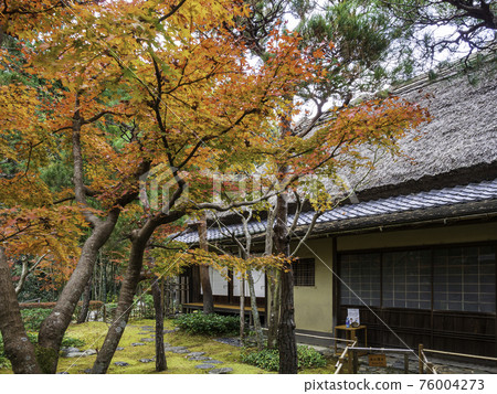 Kamakura / Ichijo Ekan Sanso Sanso and autumn leaves Kamakura / Ichijo Ekan Sanso Sanso and autumn leaves 76004273