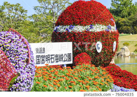 明石海峽公園鬱金香和春花 明石海峽公園鬱金香和春花 76004835