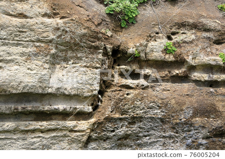 Active fault in Choshi City, Chiba Prefecture Active fault in Choshi City, Chiba Prefecture 76005204