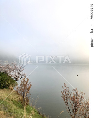 Mikata Goryo Mikata Goryo 76005515