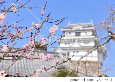 平戶城“梅花與仿真天守閣” 76005591