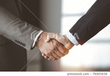 Business people standing and shaking hands in sunny office, close-up. Handshake and marketing 76005636