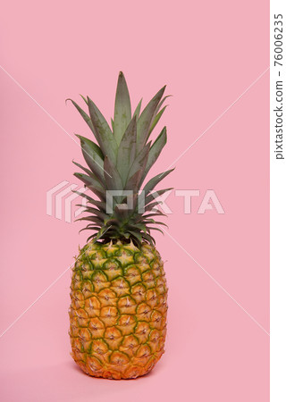 Pineapple on a pink background Pineapple on a pink background 76006235