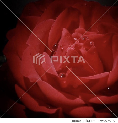 Red casket and casket 76007019