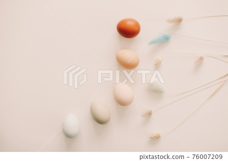 fresh chicken eggs of natural shades and colors on a white background. Happy Easter concept fresh chicken eggs of natural shades and colors on a white background. Happy Easter concept 76007209
