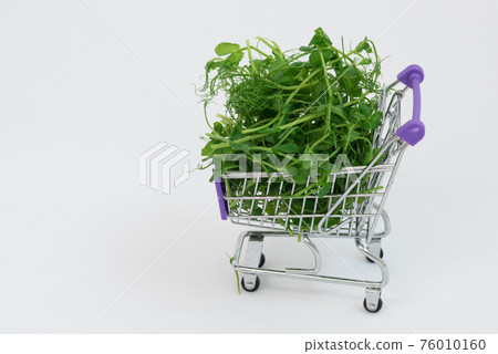 There are microgreens in the shopping cart. Young sprouts of peas lie in a heap in a shopping basket. Microgreens purchase concept. Price, demand for greens. There is space for text. 76010160