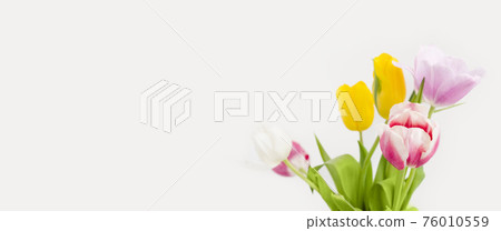 Bouquet of tulips isolated on white background. Bright daylight beam, glare. Spring concept. Mothers day banner 76010559