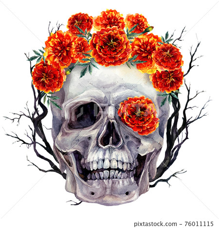 Watercolor Skull and Flowers Halloween Illustration 76011115
