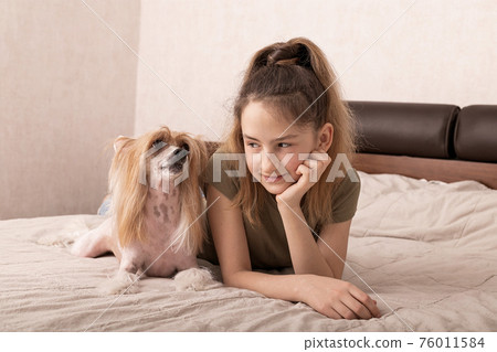 Beautiful smiling caucasian girl is laying on a bed with her cute dog pet. Chinese crested, hairless puppy, family friend, indoor activity, portrait. Front view. Beautiful smiling caucasian girl is laying on a bed with her cute dog pet. Chinese crested, hairless puppy, family friend, indoor activity, portrait. Front view. 76011584