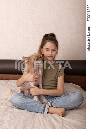 Nice caucasian girl in a green t-shirt is sitting on a bed with her adorable hairless dog pet. Chinese crested puppy, family indoor activity, portrait. Front view. Nice caucasian girl in a green t-shirt is sitting on a bed with her adorable hairless dog pet. Chinese crested puppy, family indoor activity, portrait. Front view. 76011585
