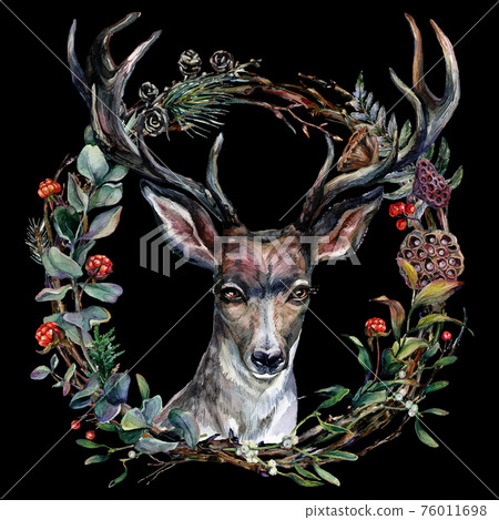 Watercolor Illustration of Deer Head Forest Wreath Watercolor Illustration of Deer Head Forest Wreath 76011698