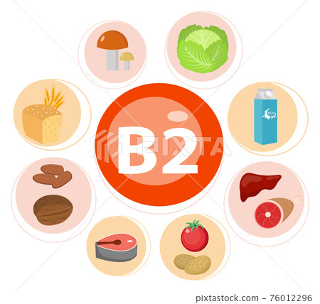 Vitamins and Minerals foods Illustrator set 7.Vector set of vitamin rich foods. Vitamin B2-milk, egg, spinach, oysters, cheese, liver, mushrooms and broccoli. Vitamins and Minerals foods Illustrator set 7.Vector set of vitamin rich foods. Vitamin B2-milk, egg, spinach, oysters, cheese, liver, mushrooms and broccoli. 76012296